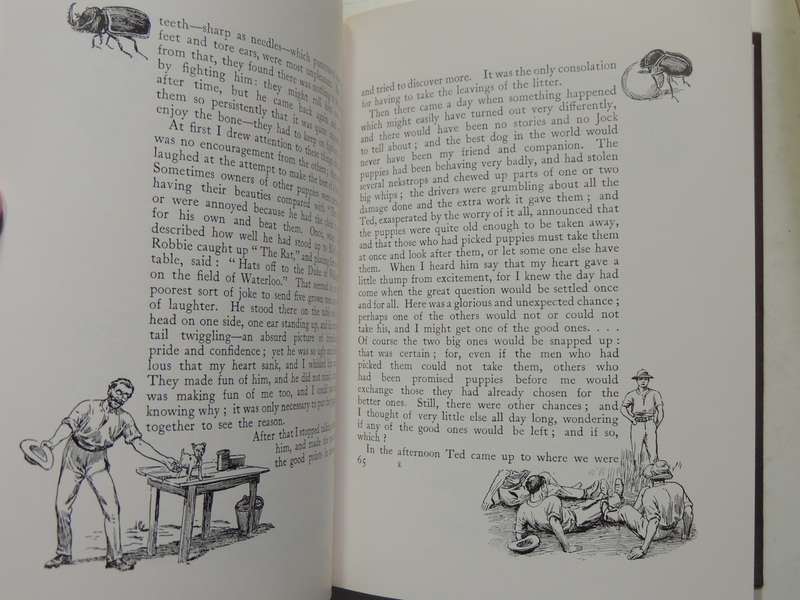 Jock of the Bushveld - Sir Percy Fitzpatrick - 1988