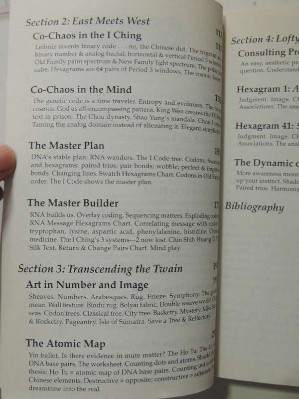 Tao of Chaos, DNA & The I Ching, Unlocking the Code of the Universe - Katya Walter