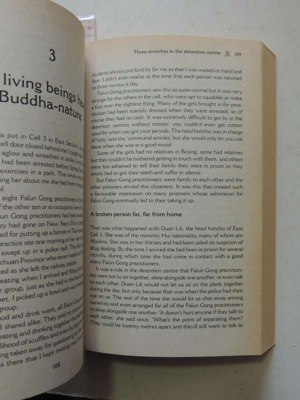 Witnessing History: One Woman's Fight For Freedom And The Falun Gong - Jennifer Zeng
