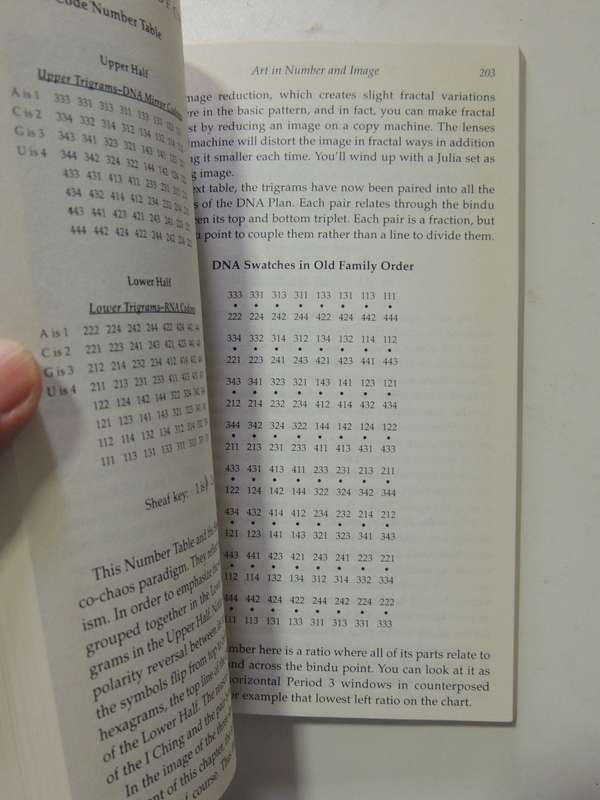 Tao of Chaos, DNA & The I Ching, Unlocking the Code of the Universe - Katya Walter