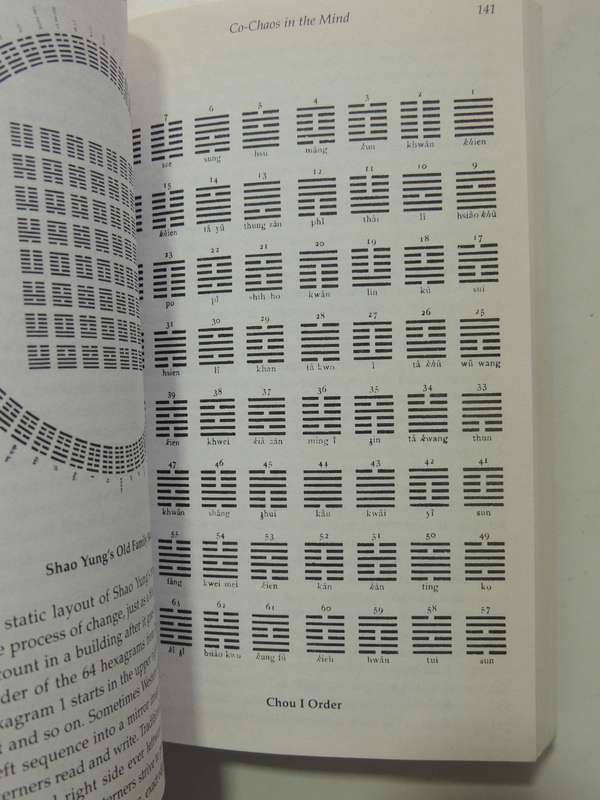 Tao of Chaos, DNA & The I Ching, Unlocking the Code of the Universe - Katya Walter