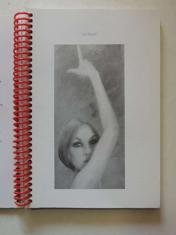 The Flamenco Fanatic: The Complete Guide - Rosana Maya