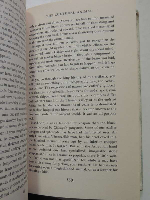 The Hunting Hypothesis - Robert Ardrey