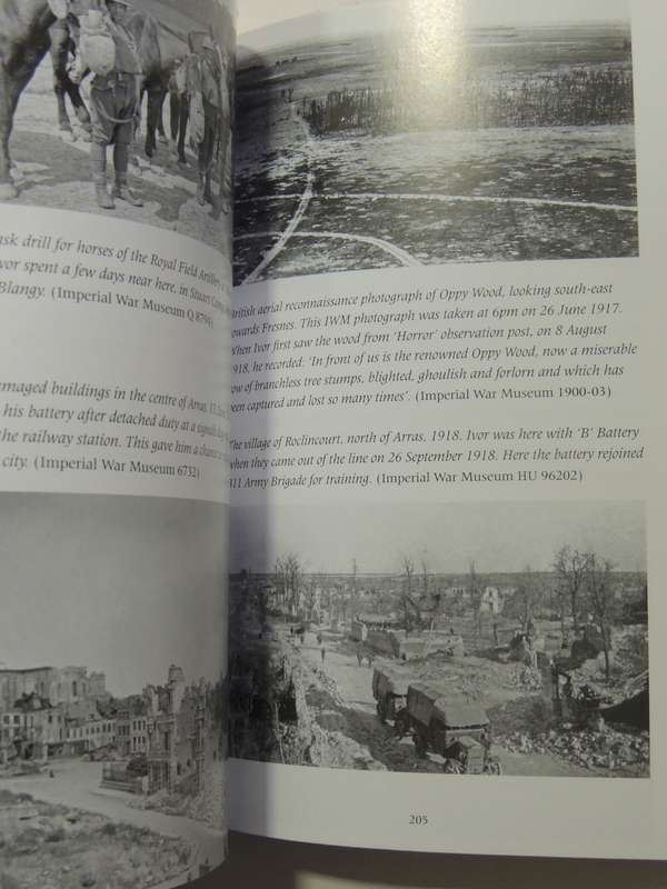 Plough & Scatter: The Diary-Journal Of A First World War Gunner - J. Ivor Hanson & Alan Wakefield