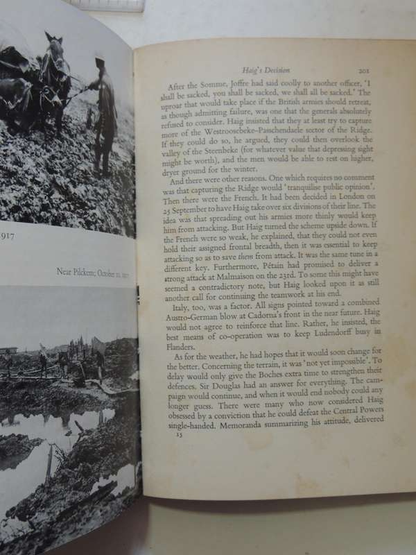 In Flanders Fields: The 1917 Campaign - Leon Wolff