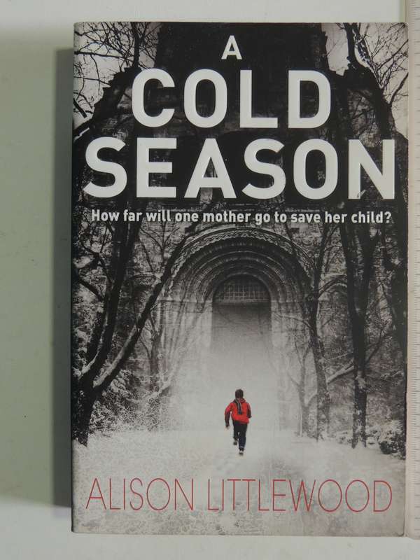 A Cold Season - Alison Littlewood