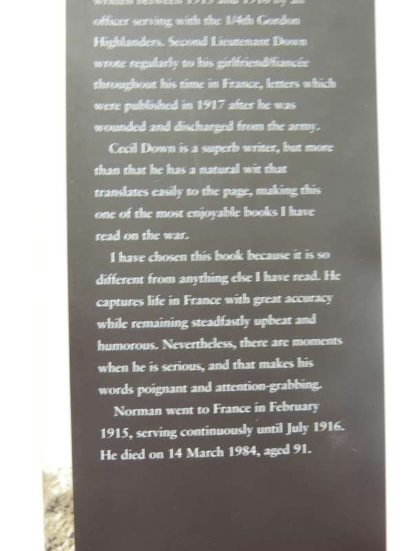 Temporary Heroes: Lieutenant Norman Cecil Down- Richard Van Emden