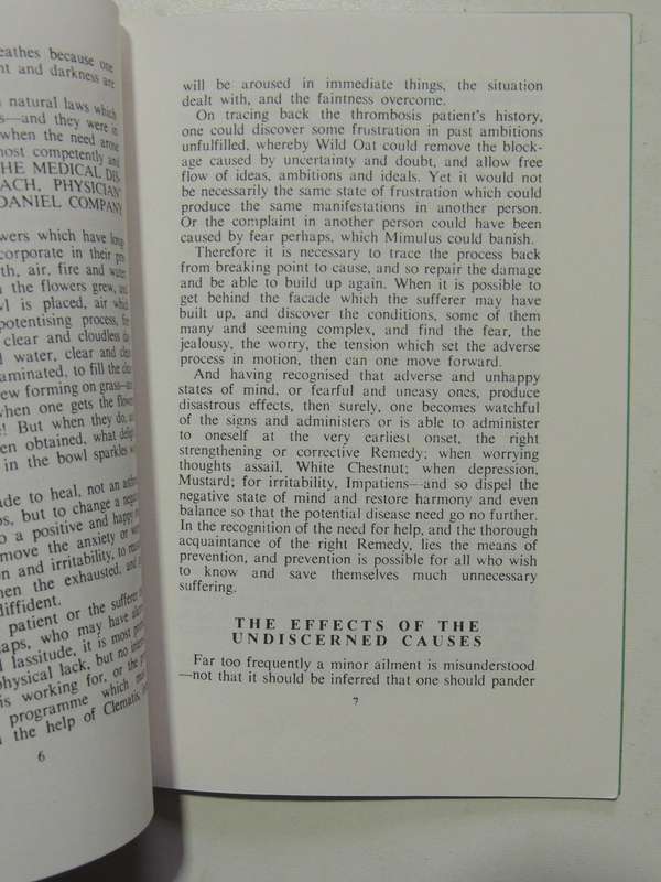Introduction To The Benefits Of The Bach Flower Remedies - Jane Evans