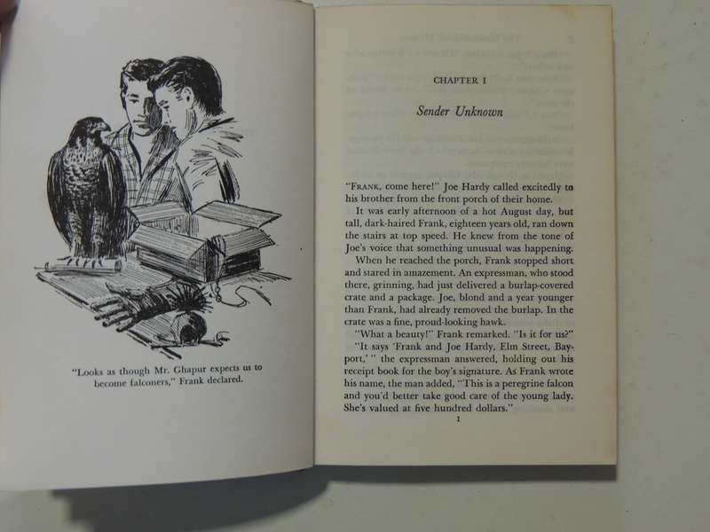 The Hooded Hawk Mystery - Franklin W. Dixon  Circa 1950s