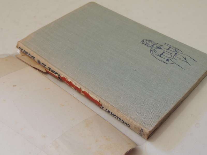 Goodbye Nice Types - Raff & Anthony Armstrong