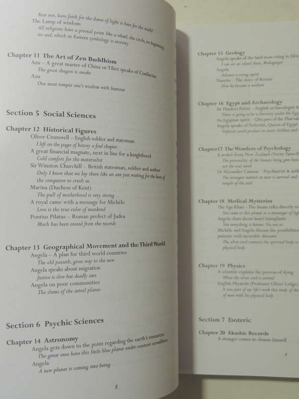 Afternoon Tea In Heaven: Conversations With The Spirit World As Experienced By Nanette AdamsNanette