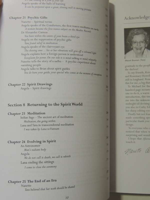 Afternoon Tea In Heaven: Conversations With The Spirit World As Experienced By Nanette AdamsNanette