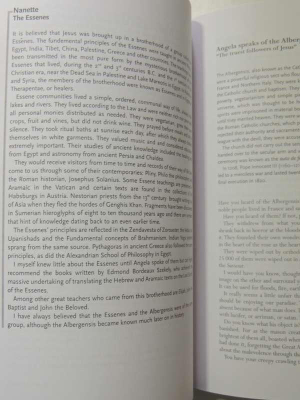 Afternoon Tea In Heaven: Conversations With The Spirit World As Experienced By Nanette AdamsNanette