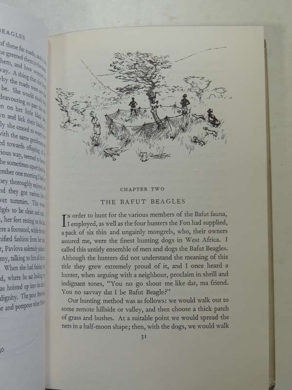 The Batful Beagles- Gerald Durrell, with 40 Illustrations by Ralph Thompson    First Ed. 1954