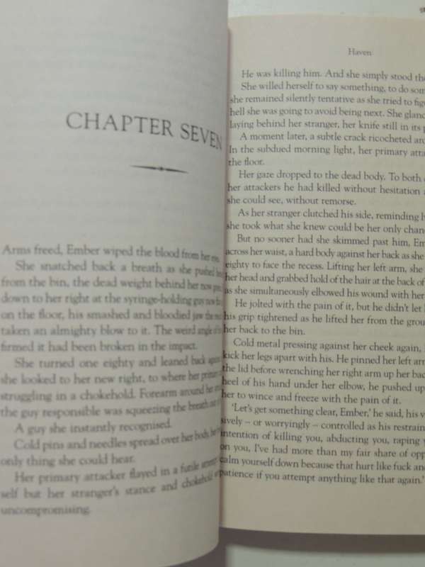 Haven - A Lowtown Novel - Lindsay J. Pryor