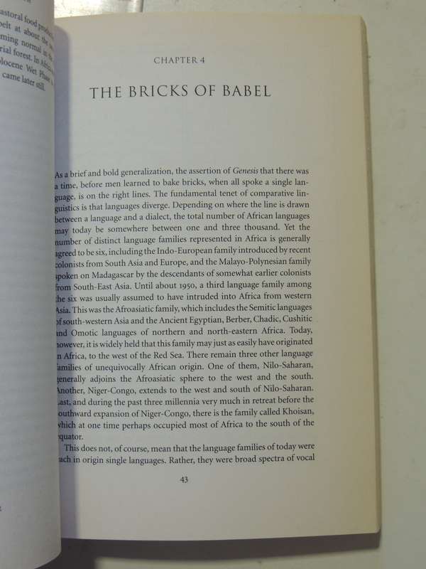 The African Experience, History of Civilization - Roland Olivier