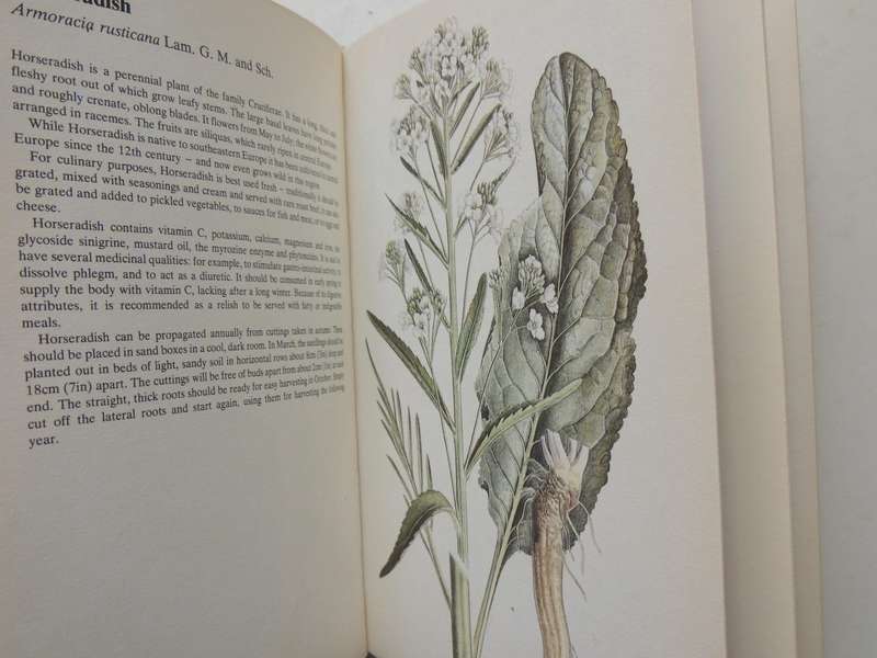 A Guide In Colour To Kitchen Herbs And Spices - Bohumir Hlava & Dagmar Lanska