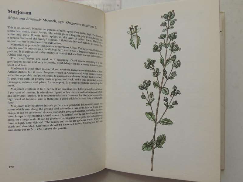 A Guide In Colour To Kitchen Herbs And Spices - Bohumir Hlava & Dagmar Lanska