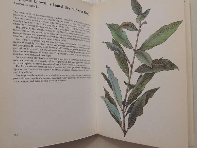 A Guide In Colour To Kitchen Herbs And Spices - Bohumir Hlava & Dagmar Lanska