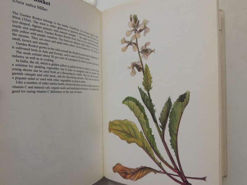 A Guide In Colour To Kitchen Herbs And Spices - Bohumir Hlava & Dagmar Lanska