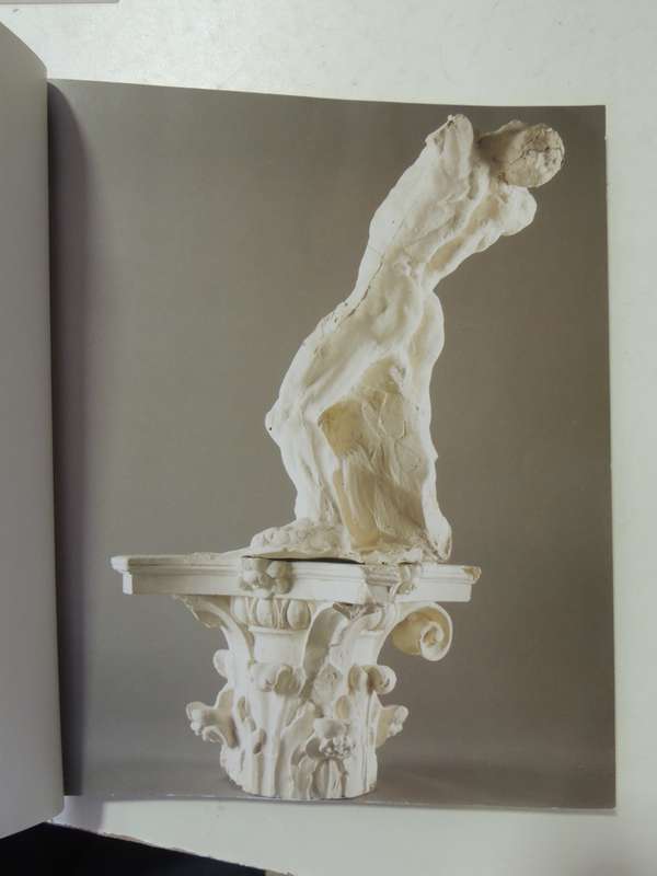 Rodin: A Passion for Movement - Dominique Jarrassé