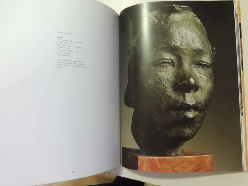 Rodin: A Passion for Movement - Dominique Jarrassé