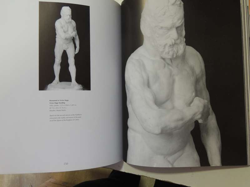 Rodin: A Passion for Movement - Dominique Jarrassé