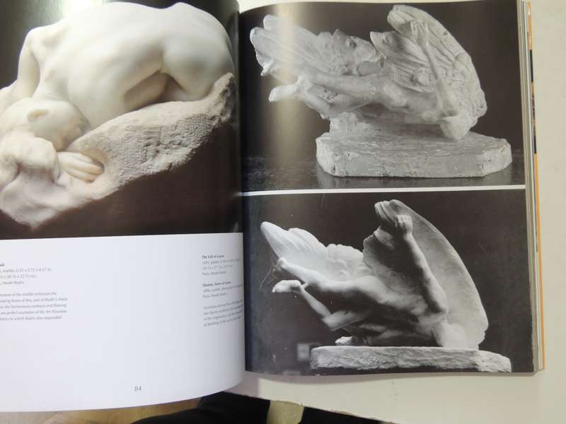 Rodin: A Passion for Movement - Dominique Jarrassé