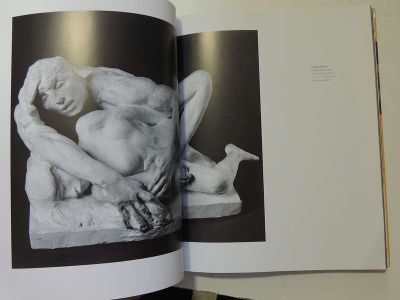 Rodin: A Passion for Movement - Dominique Jarrassé