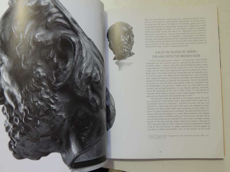 Rodin: A Passion for Movement - Dominique Jarrassé