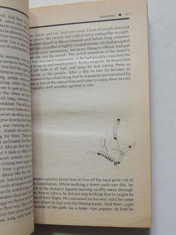 The Lighting Bird - Lyall Watson