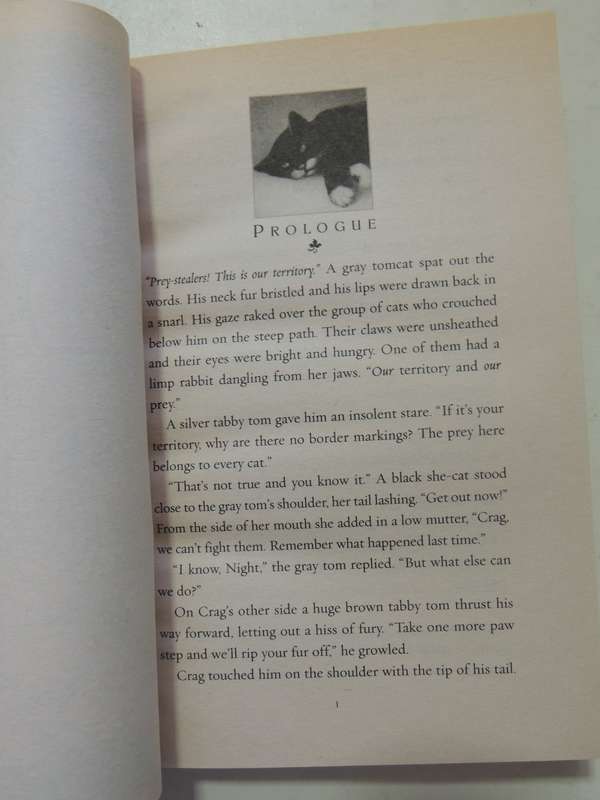 Warriors: Power Of Three #3 Outcast - Erin Hunter
