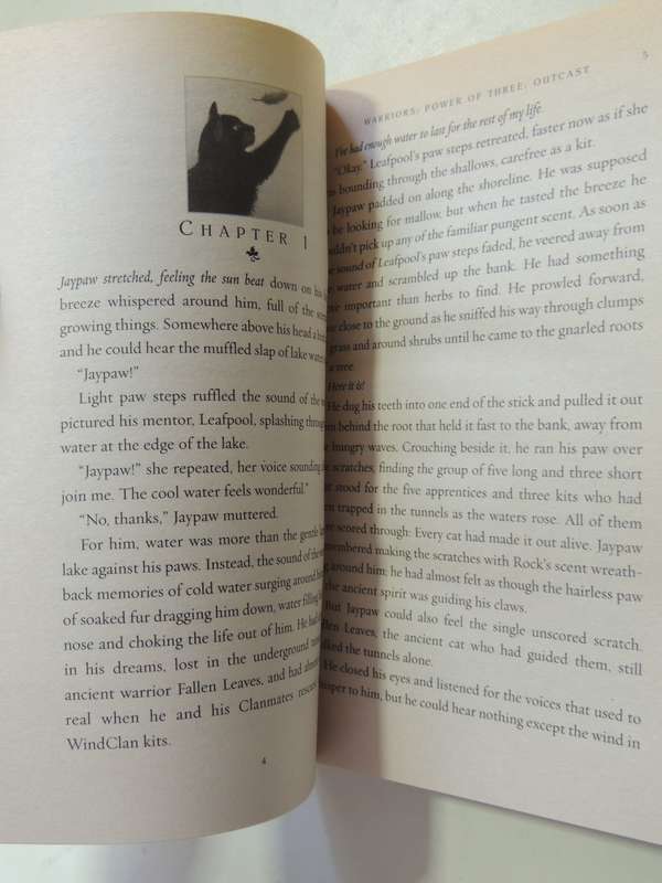 Warriors: Power Of Three #3 Outcast - Erin Hunter