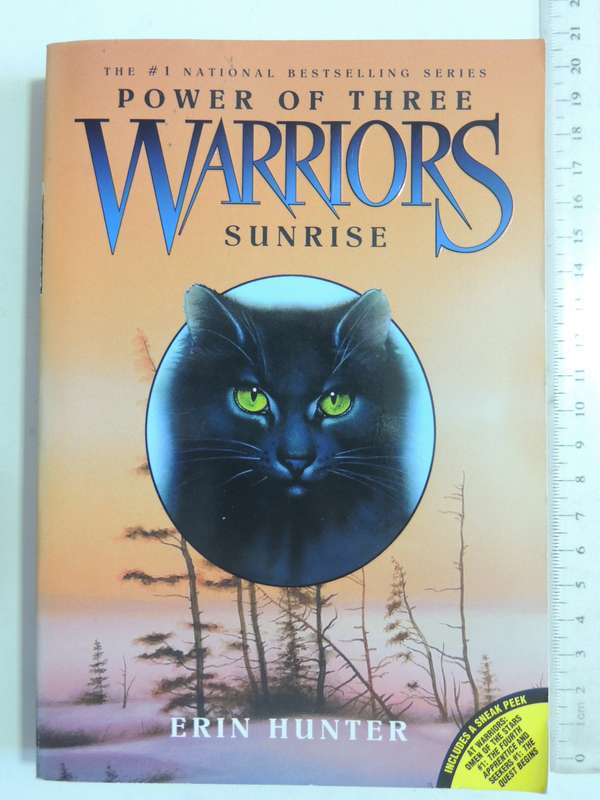 Warriors: Power Of Three #6 The Sight - Erin Hunter