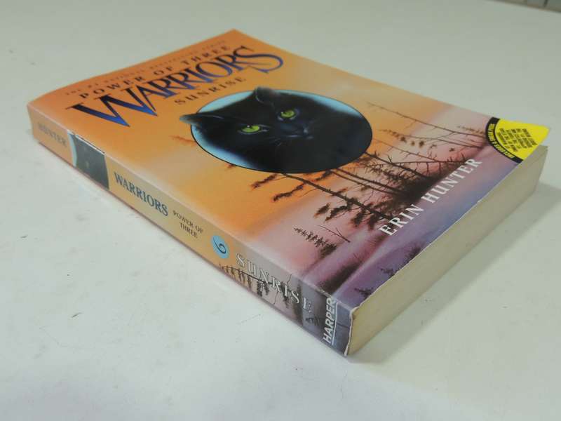 Warriors: Power Of Three #6 The Sight - Erin Hunter