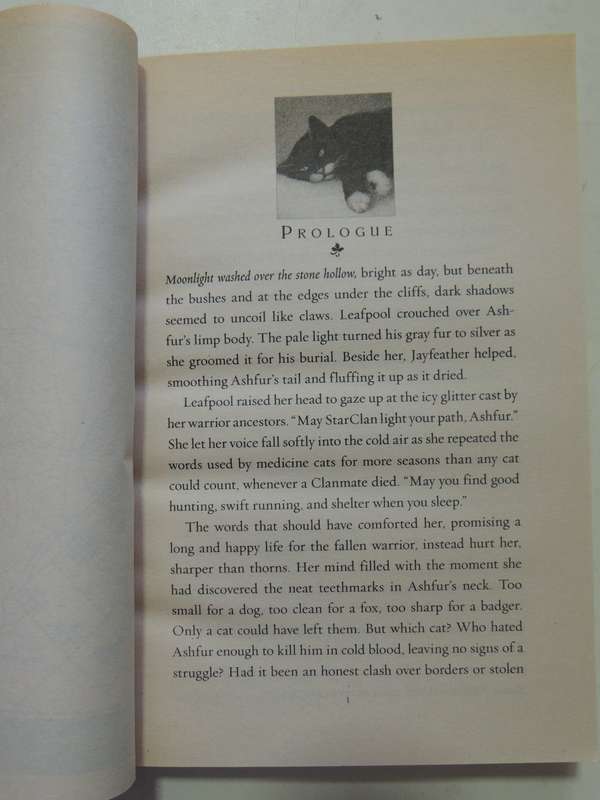 Warriors: Power Of Three #6 The Sight - Erin Hunter