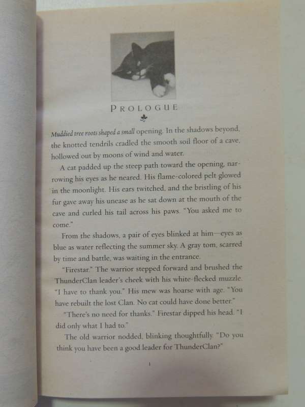 Warriors: Power Of Three #1 The Sight - Erin Hunter