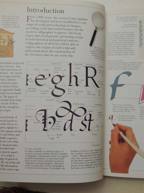 The Art Of Calligraphy: A Practical Guide To The Skills And Techniques - David Harris