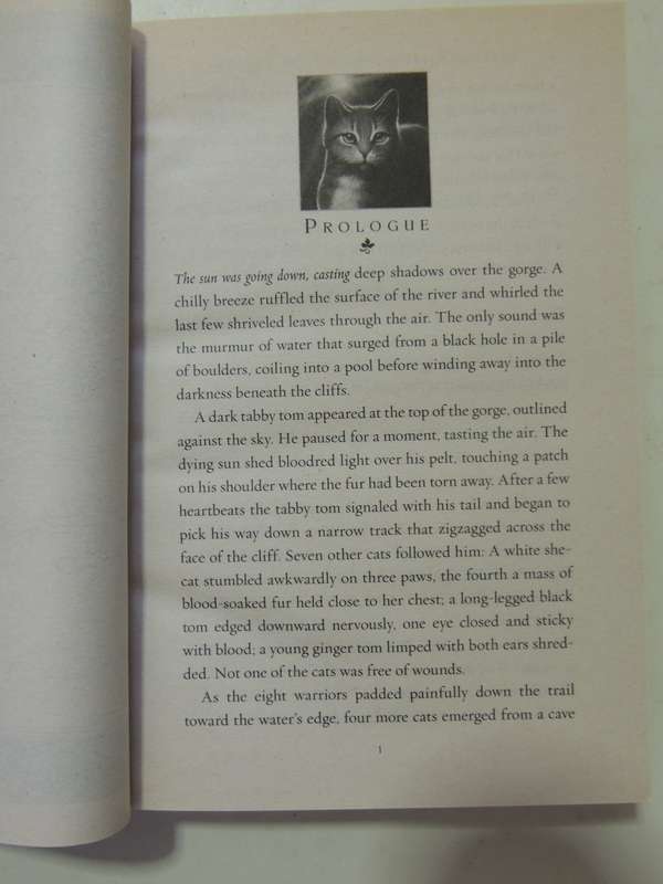 Warriors Super Edition: Skylan's Destiny - Erin Hunter
