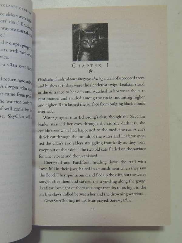 Warriors Super Edition: Skylan's Destiny - Erin Hunter