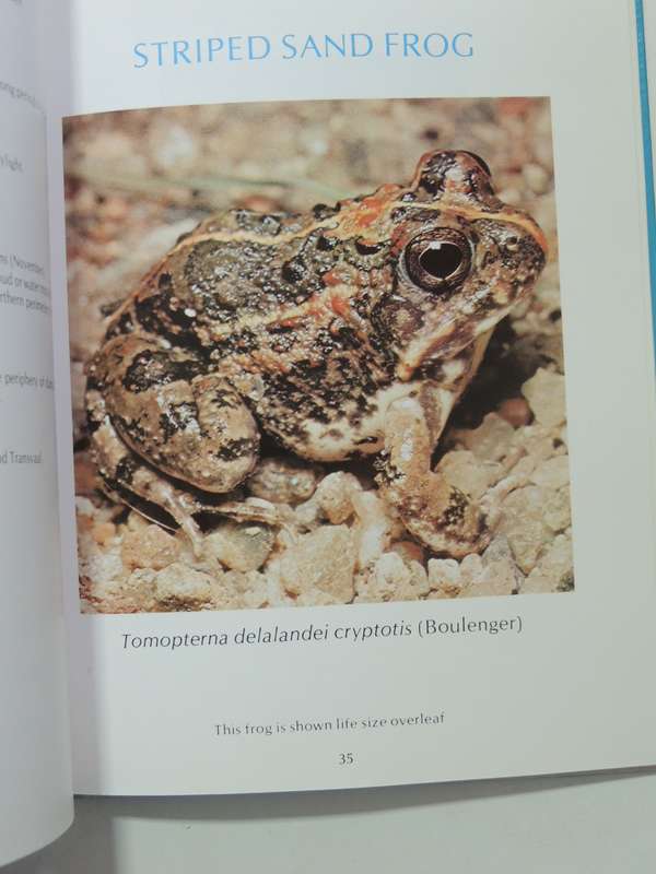A Guide To The Identification Of TheFrogs Of The Witwatersrand - Vincent Carruthers