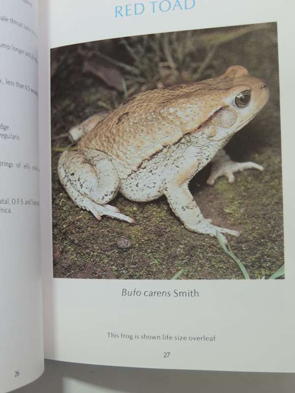 A Guide To The Identification Of TheFrogs Of The Witwatersrand - Vincent Carruthers