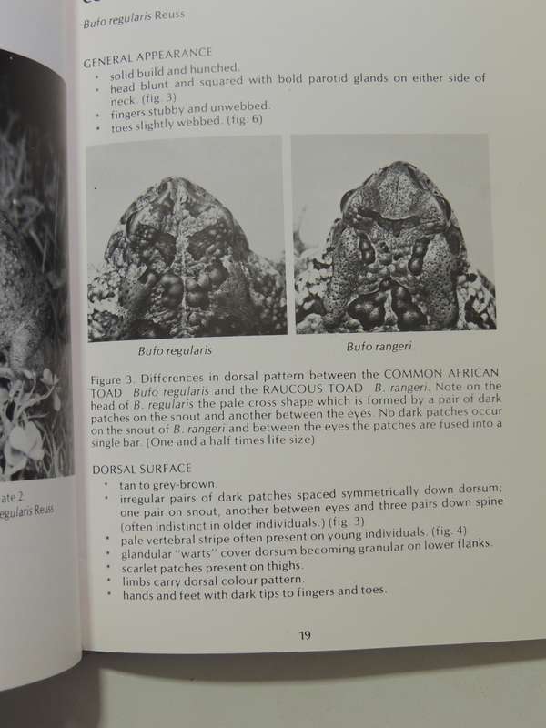 A Guide To The Identification Of TheFrogs Of The Witwatersrand - Vincent Carruthers