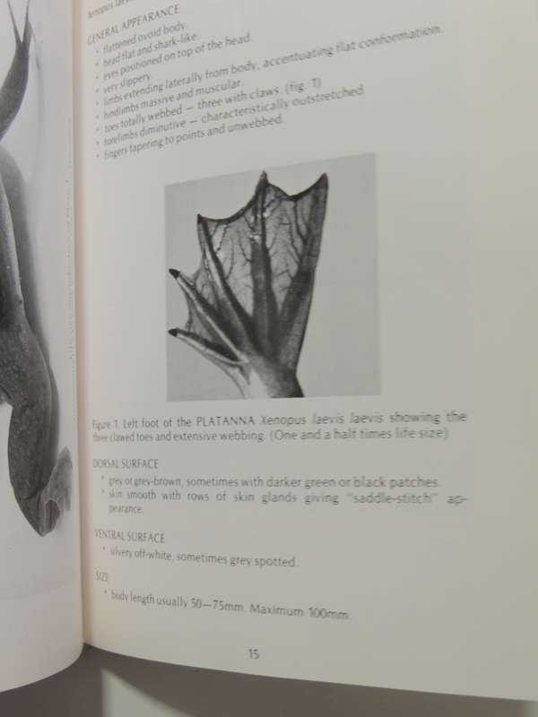 A Guide To The Identification Of TheFrogs Of The Witwatersrand - Vincent Carruthers