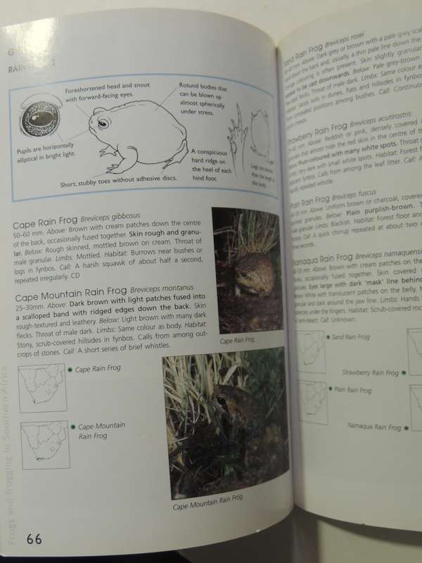 A Guide To The Identification Of TheFrogs Of The Witwatersrand - Vincent Carruthers     NO CD!!