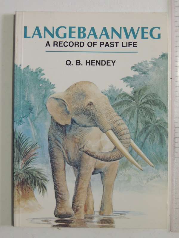 Langerbaanweg: A Record Of Past Life -  Q.B. Hendey