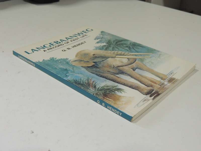 Langerbaanweg: A Record Of Past Life -  Q.B. Hendey