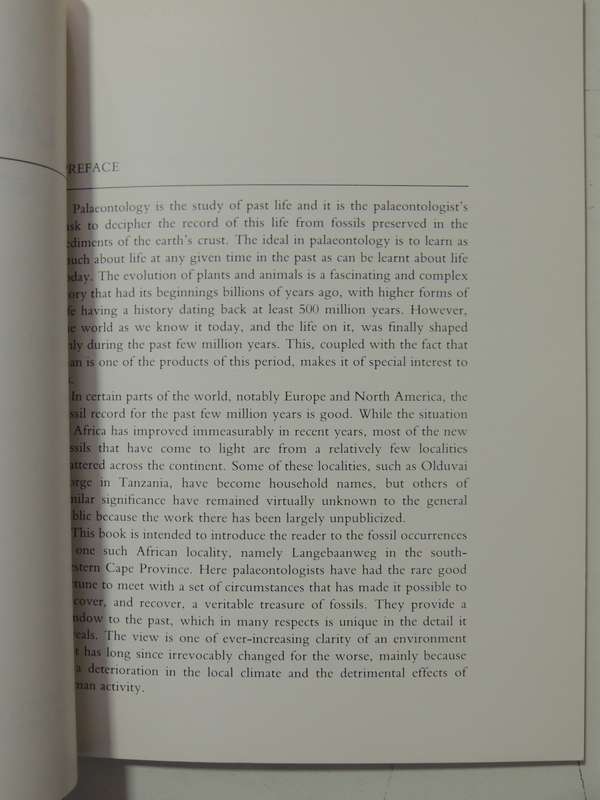 Langerbaanweg: A Record Of Past Life -  Q.B. Hendey