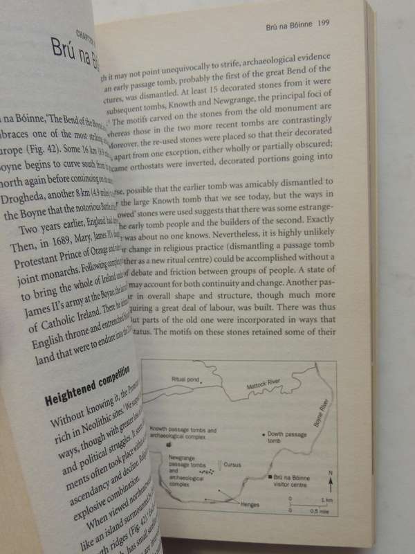 Inside The Neolithic Mind - David Lewis-Williams & David Pearce