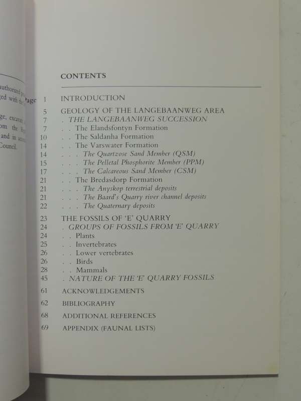 Langerbaanweg: A Record Of Past Life -  Q.B. Hendey